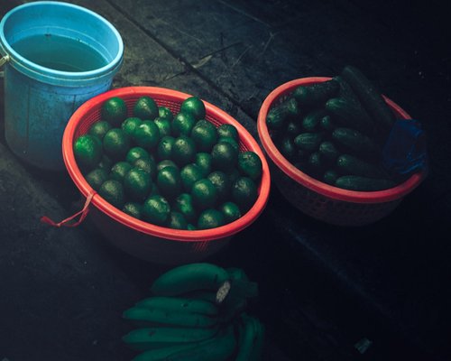 Basket with fresh healthy groceries